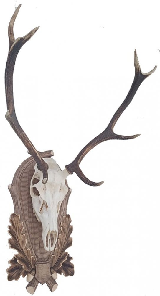 Podložky pod trofeje