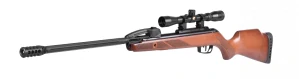 Gamo FAST SHOT 10X IGT 4,5mm 